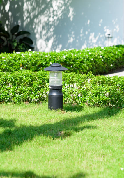 istock lantern in the garden 1061749570