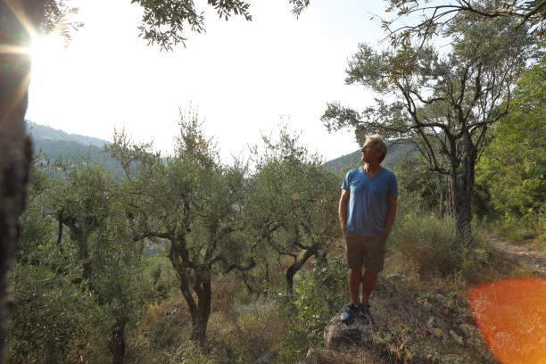 istock Hiker relaxes above olive grove, sunrise 1061750758