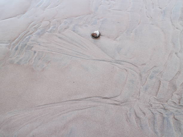 istock traces drawings from the waves in the sand 1061771944