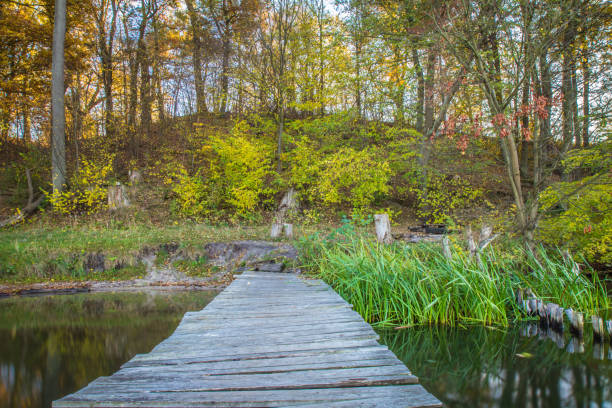 istock Lake in the autumn 1061775424