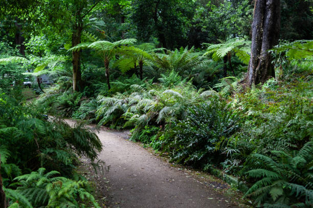 istock Italy, Naples, Royal Botanical Garden 1061785770