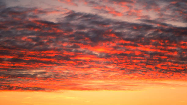 istock Pattern of cirrus clouds on the colored  sinrise sky 1061786360