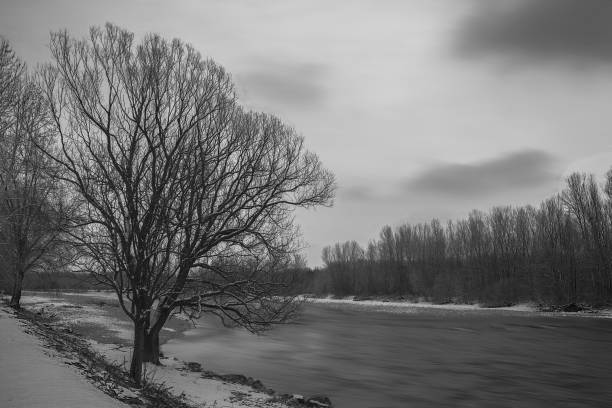 istock nature in contact with snow 1061787152