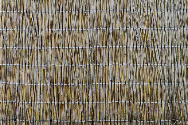 istock grunge cane fence texture - nice abstract photo background 1061787428