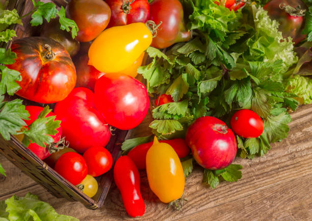 istock Many different tomato breeds and fragrant herb in a basket 1061792676