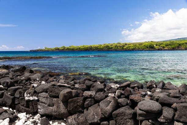View of kealakekua bay on Hawaii's Big Island; blue-green water, coastline with green plants in background, black Volcanic rock in foreground stock photo