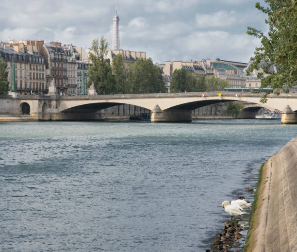 istock Paris's Seine River with the Eiffel Tower in the background 1061803550