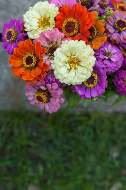 istock Colourful flower bouquet 1061803664
