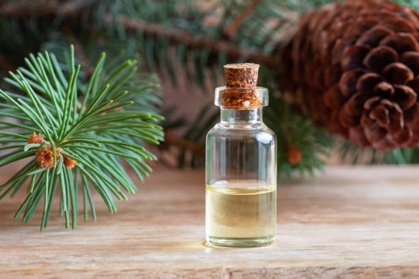 istock A bottle of spruce essential oil with fresh spruce branches 1061805534