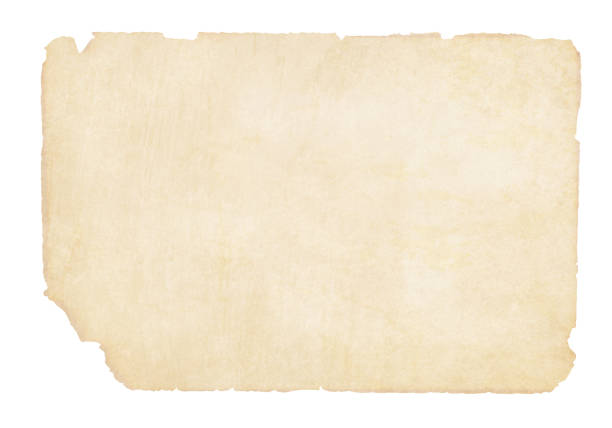 düz sarımsı kahverengi bej grunge kağıt arka plan vektör çizim - eski stock illustrations