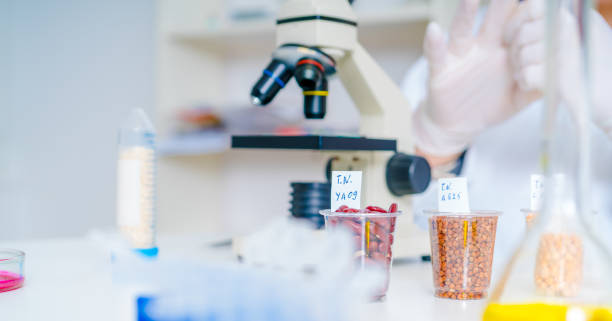istock The laboratory of food quality 1061815440