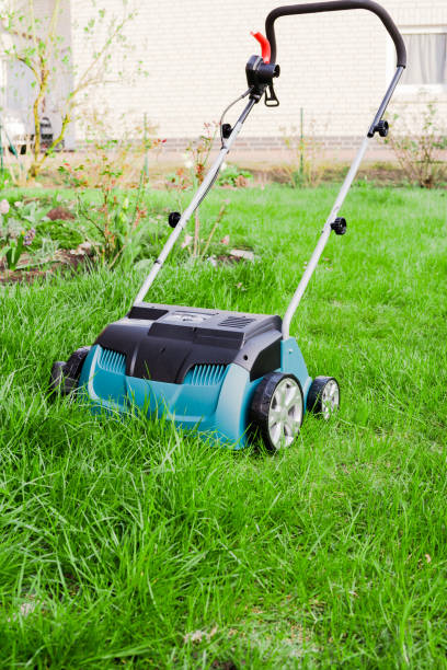 istock BERLIN,GERMANY-APRIL 14,2018: New scarifier Makita. 1061815596