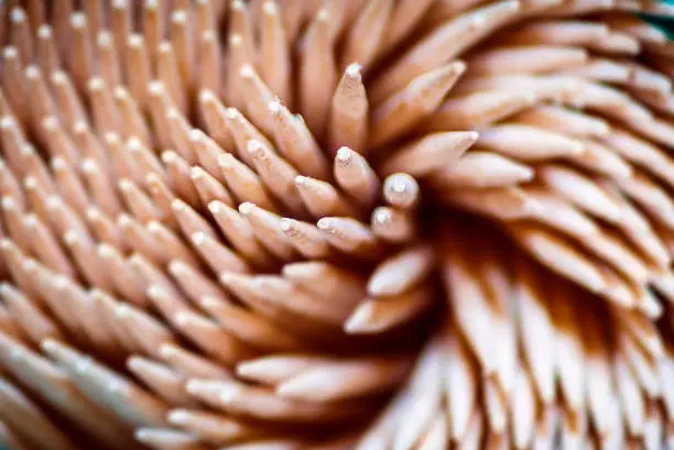 Photo of a group of wooden toothpicks seen from above