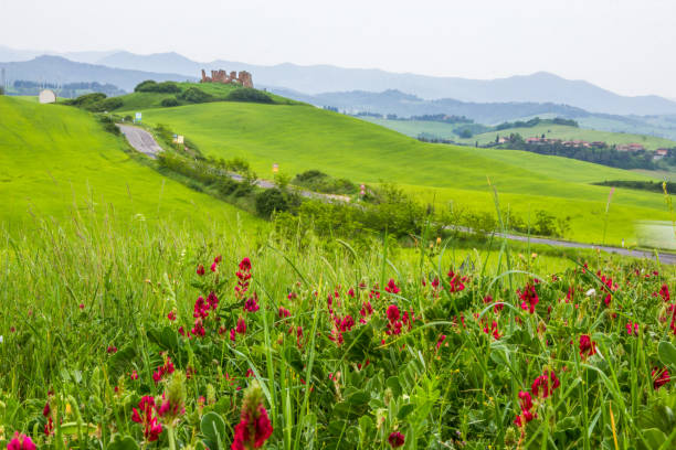 istock fields of Tuscany in Italy 1061823932