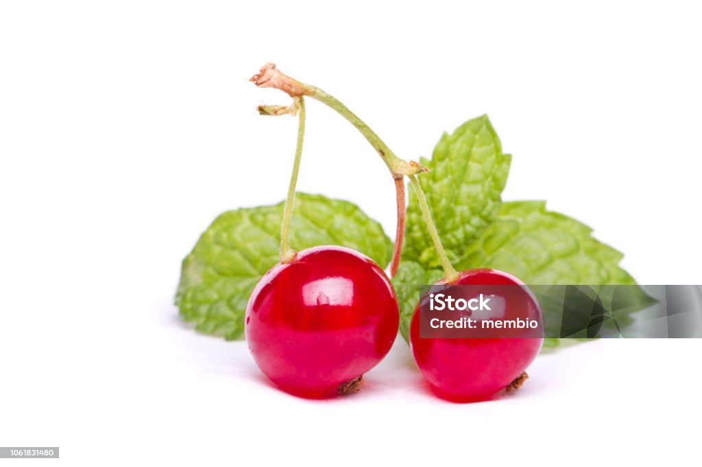 bunch of tasty red currant (Ribes rubrum) berries View of a bunch of tasty red currant (Ribes rubrum) berries. Currant Stock Photo