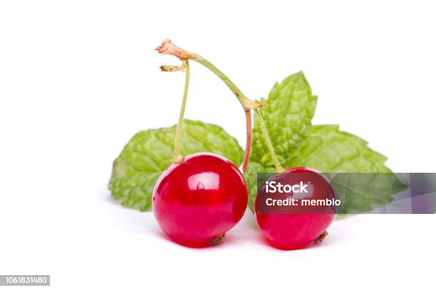 Bunch Of Tasty Red Currant Berries Stock Photo - Download Image Now - Currant, Abundance, Berry