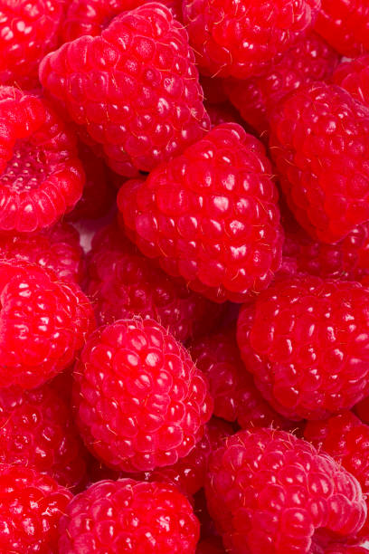 istock tasty red raspberries 1061831508