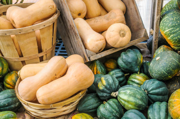 istock Baskets and Crates of Squash 1061831594