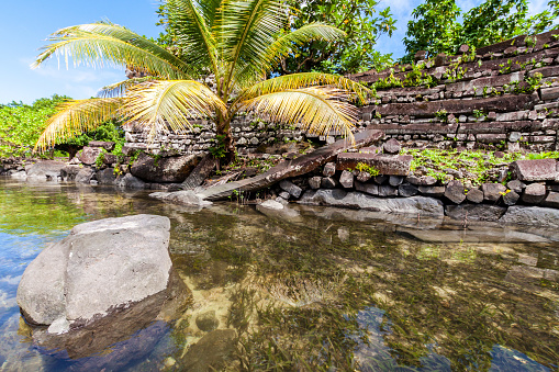 Walls and canals of Nandowas part of Nan Madol - prehistoric ruined stone city built of basalt slabs on islands and canals, overgrown with palms. Pohnpei, Micronesia, Oceania. \