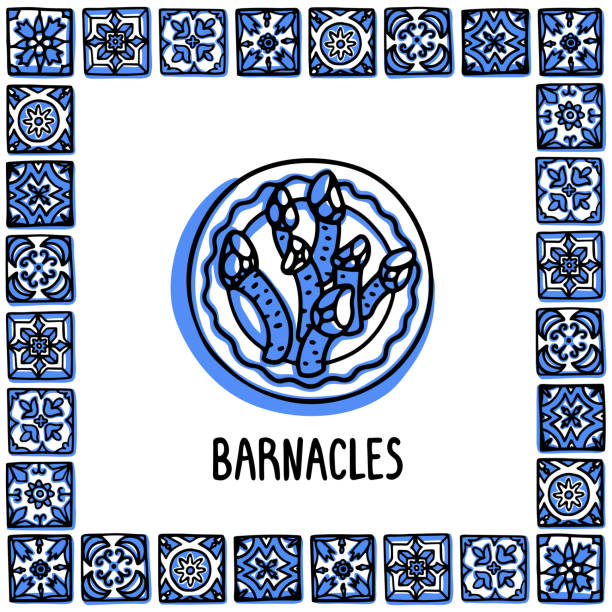 ilustrações, clipart, desenhos animados e ícones de conjunto de monumentos de portugal. ganso, cracas, percebes marisco de iguaria tradicional. placa com cracas em moldura de azulejos portugueses. esboçar a ilustração vetorial de estilo, para lembrancinhas, ímãs, cartões postais - barnacle