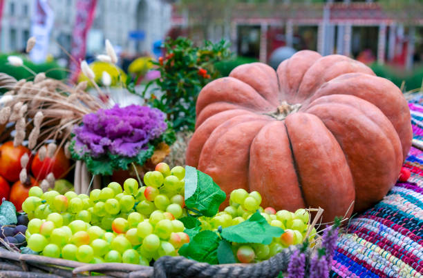 istock Autumn composition with pumpkin, grapes and other vegetables. 1061840874