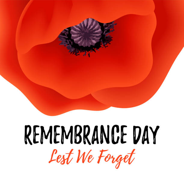 Remembrance Day vector card. Lest We forget. Anzac Day vector poster. Lest We forget. Realistic Red Poppy flower - a symbol of International Day of Remembrance. Vector Illustration EPS 10 file. remembrance day background stock illustrations