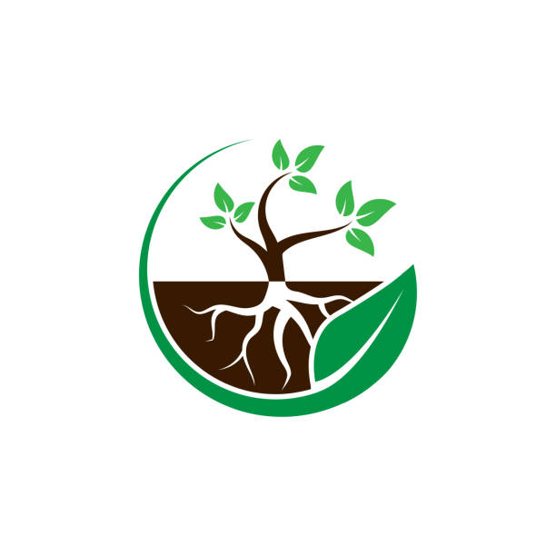 Circle Roots Vector 20,300+ Plant Roots Circle Stock Photos, Pictures & Royalty-Free Images ...