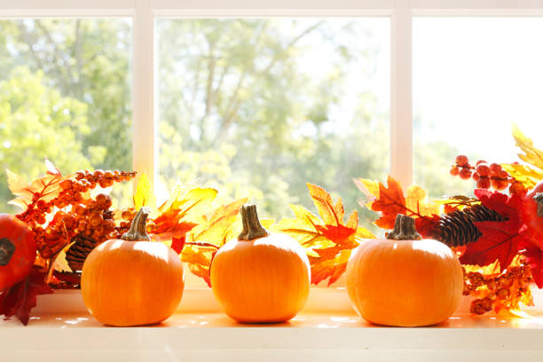 istock Thanksgiving Decorations On A Window Sill 1061846114