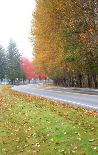 istock Road in Autumn 1061856666