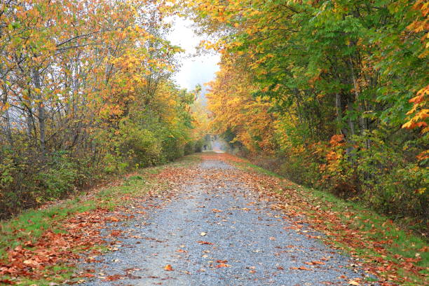 istock Public park trail in autumn 1061856974