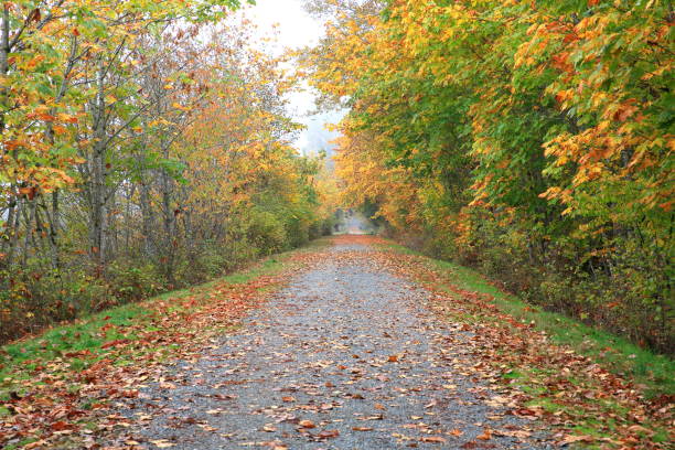 istock Public park trail in autumn 1061857150