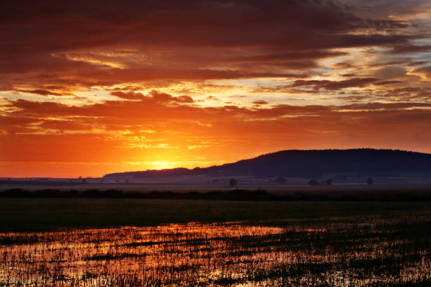 dramatic sky above wet meadows in middle franconia before sunrise - altmühltal imagens e fotografias de stock