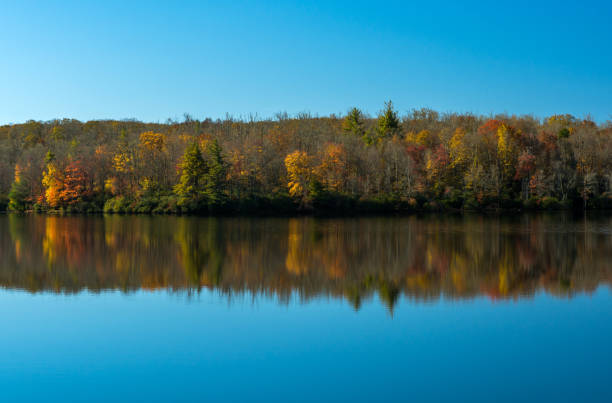 istock Autumn Reflections at Price Lake 1061866570
