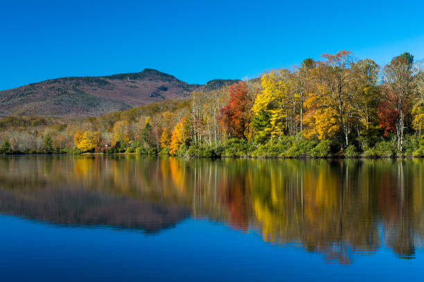 istock Autumn Reflections at Price Lake 1061866656