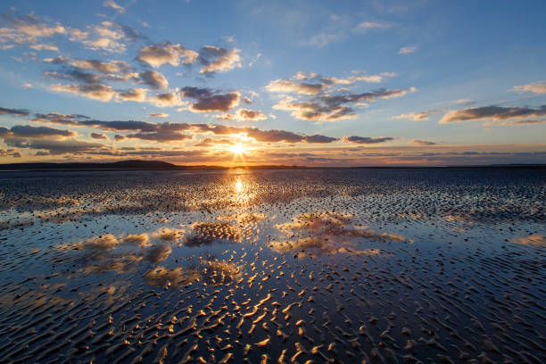 View from the dunes on the sand beach of the North Sea shore on the coast line in The Netherlands during a beautiful summer sunset after a warm day in August.