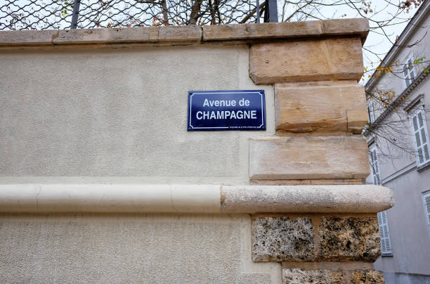 istock Avenue de Champagne in Epernay 1061871226