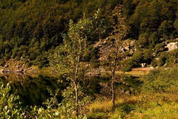 istock very nice view of cento laghi park near parma 1061876310