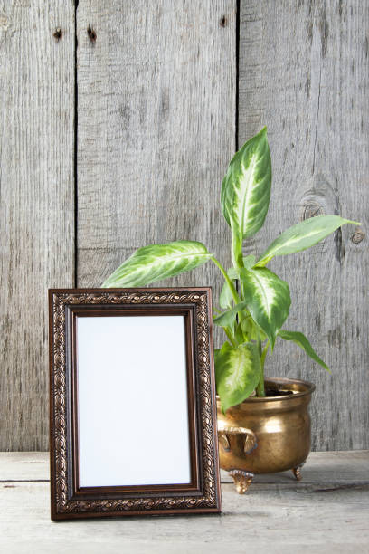 istock Empty picture frame on wooden background. 1061882754