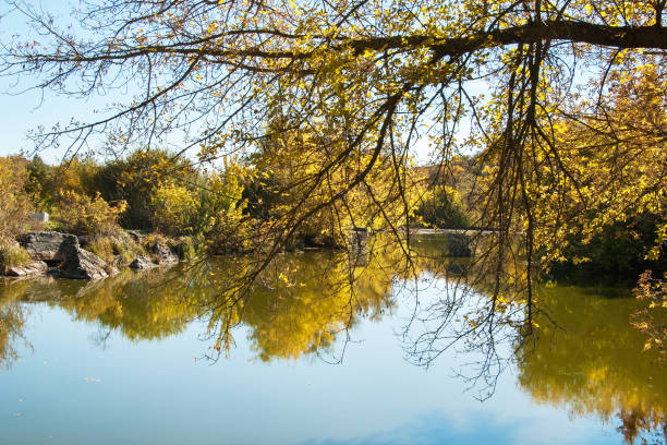 istock Pond in autumn, yellow leaves 1061882814