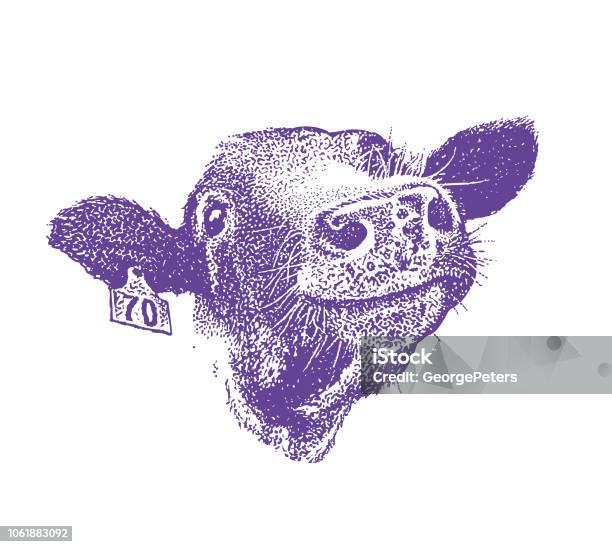 Close Up Of Happy Smiling Cow Stock Illustration - Download Image Now - Domestic Cattle, Cow, Illustration