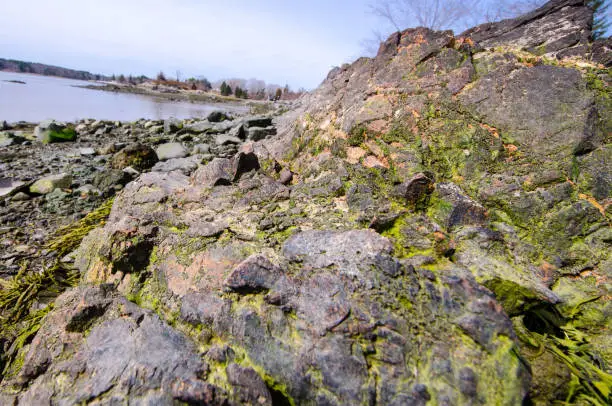 Rocky, scenic saltwater shoreline along the Atlantic Ocean at the Goat Island Saltwater Fishing Access area near Portsmouth, New Hampshire in the springtime.