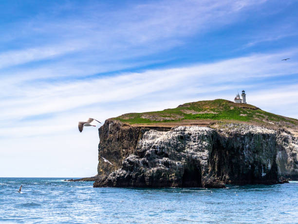 istock Channel Island National Park 1061895170
