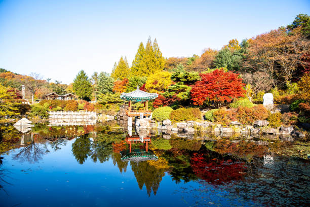 istock VD742 autumn leaves 1061898370