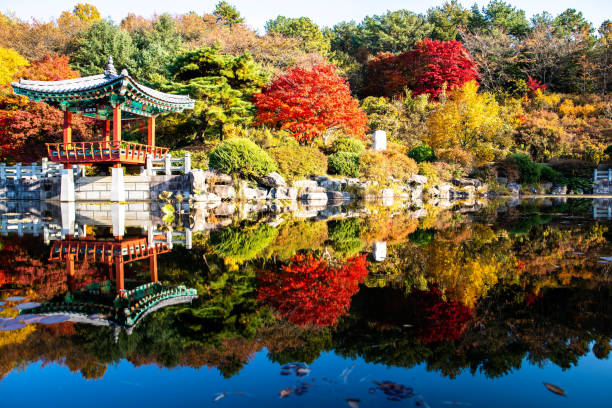 istock VD742 autumn leaves 1061898392