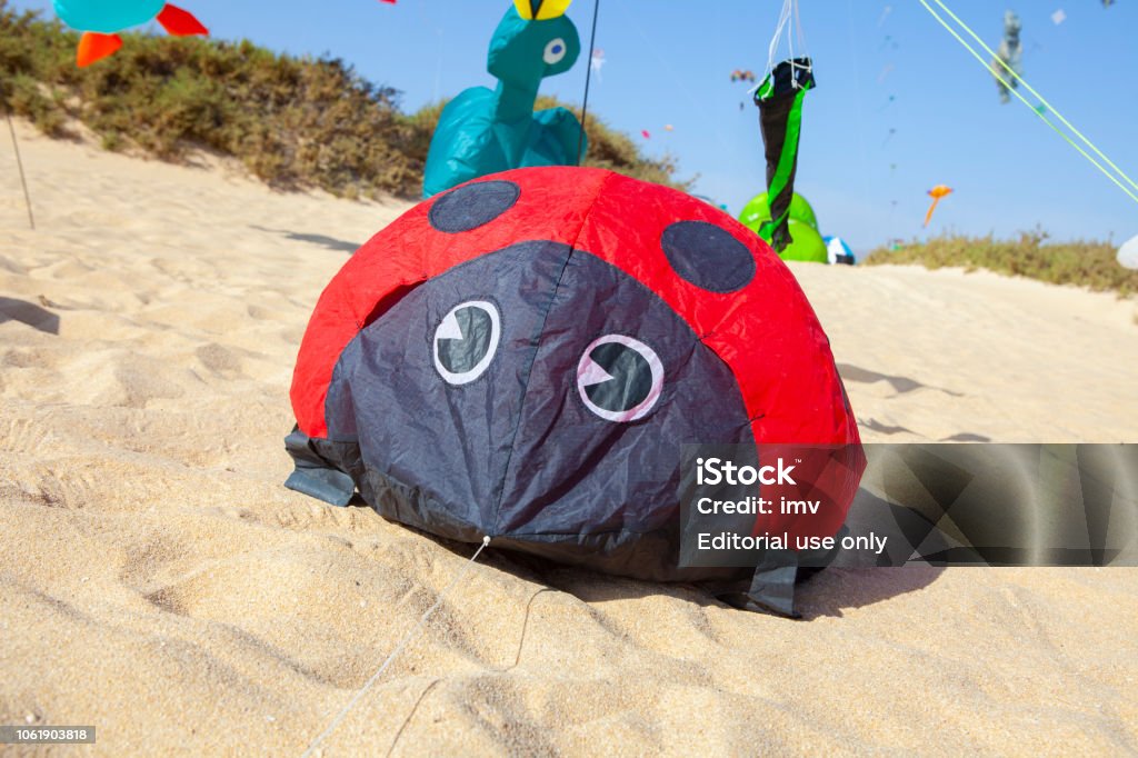 Kites flying at the International Kite Festival in Fuerteventura 30th Corralejo beach international kite festival Fuerteventura, amazing colorful kites under a blue sky from 9th to 12th november 2017. 30th Anniversary Stock Photo