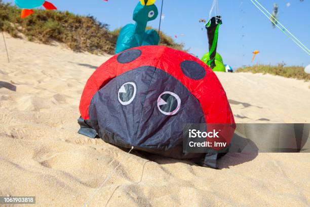 Kites Flying At The International Kite Festival In Fuerteventura Stock Photo - Download Image Now