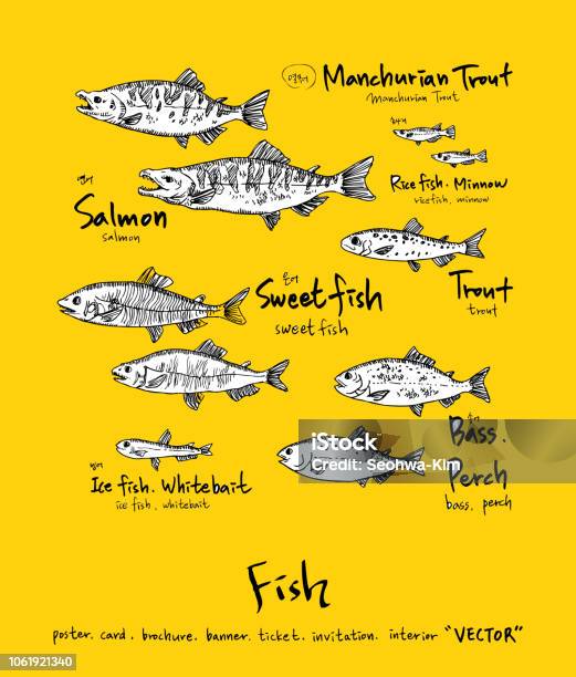 Sea Food Menu Sketch Stock Illustration - Download Image Now - Anchovy, Balloonfish, Bass - Fish