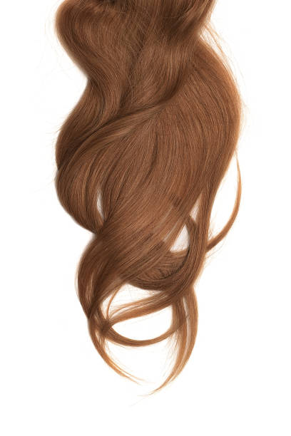 istock Brown hair, isolated on white background. Long and disheveled ponytail 1061932460