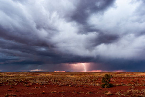 Stormy sky with dark, dramatic clouds and lightning. Stormy sky with dark, dramatic clouds and lightning in a barren landscape scene with a solitary tree. lone-tree-in-storm stock pictures, royalty-free photos & images
