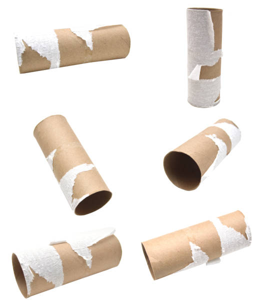 Empty Toilet Paper Roll stock photo